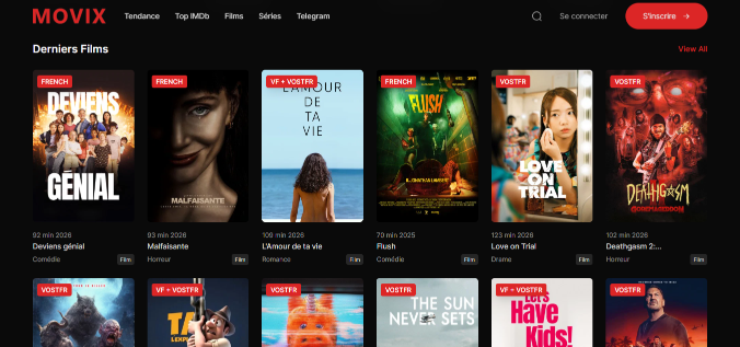 Interface du site web Movix